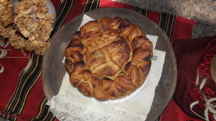 Снимка БГНЕС