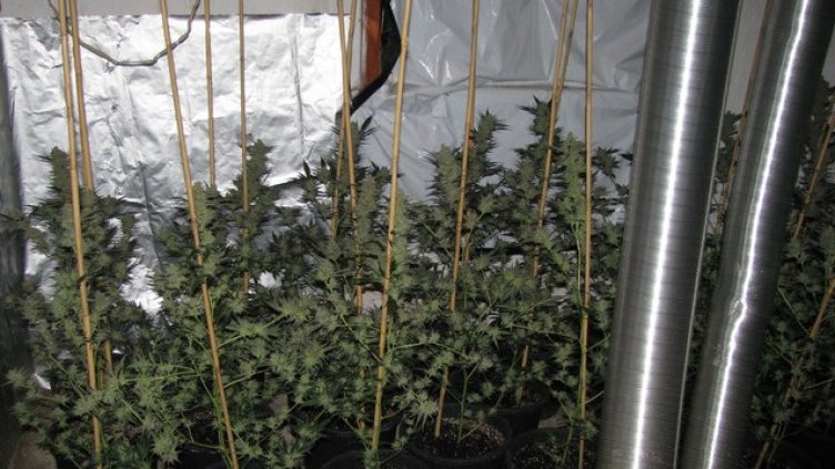 Снимка: архив, БГНЕС