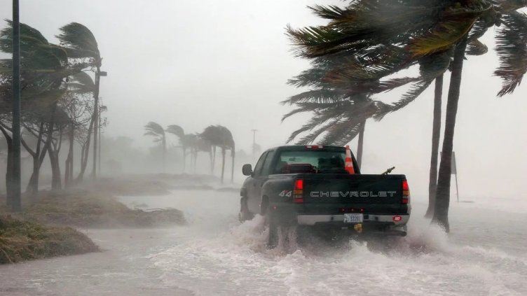 Снимка Пиксабей