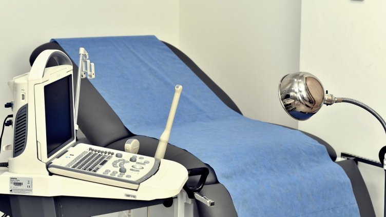 Снимка: Pixabay/ garten-gg