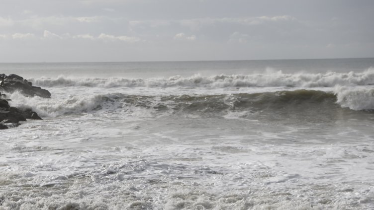 Снимка: архив, БГНЕС