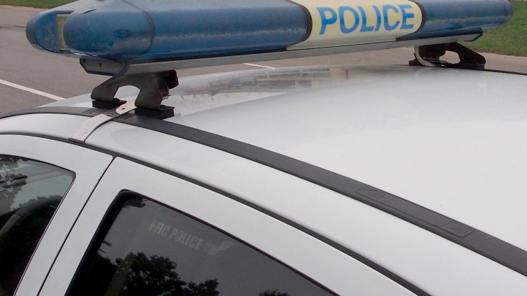 БГНЕС, архив