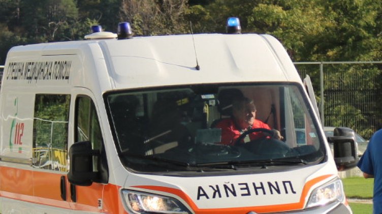 БГНЕС, архив