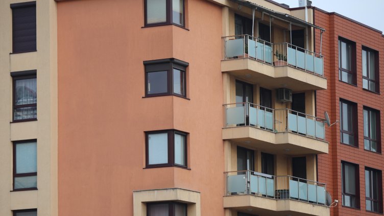 Снимка: архив, БГНЕС