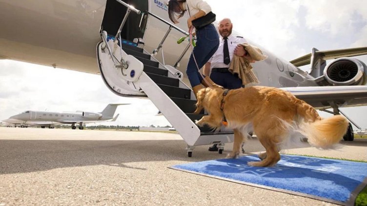 Снимка Пиксабей