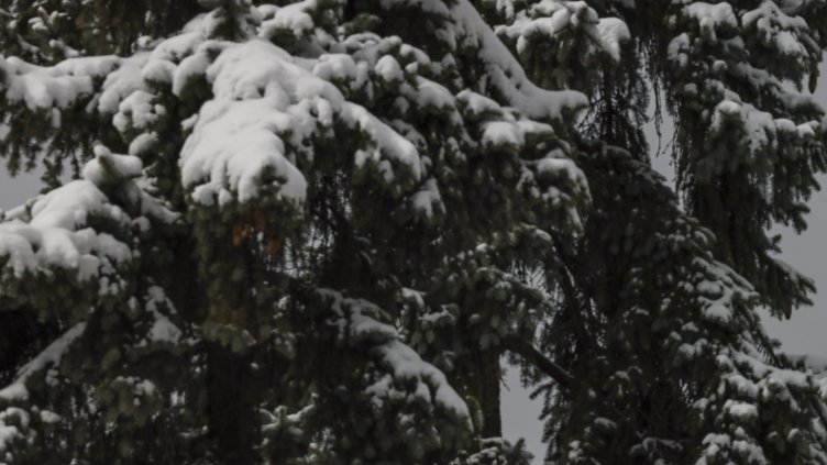 Снимка: архив, БГНЕС