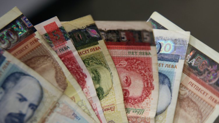 Снимка: архив, БГНЕС