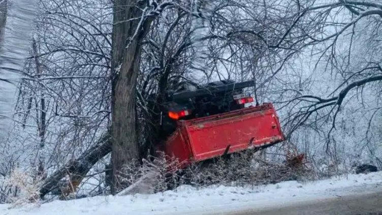 Снимка илюстративна