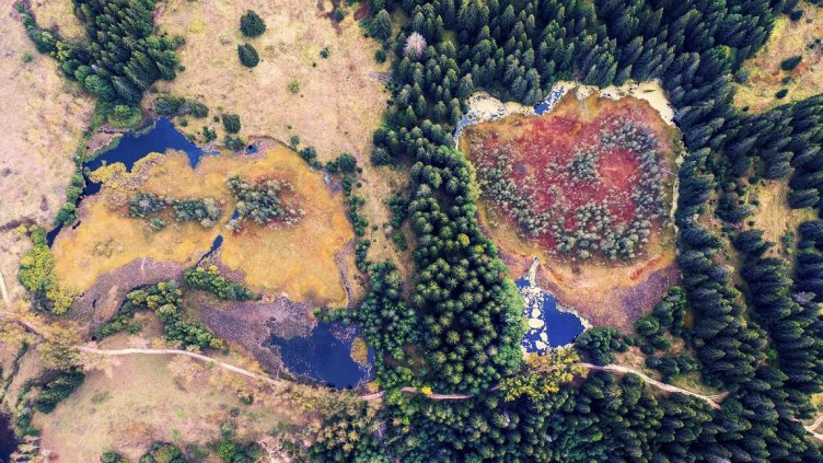 DEVIN и фондация &bdquo;Биоразнообразие&ldquo; създадоха първия в България наръчник за възстановяване и опазване на торфища