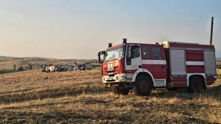 БГНЕС, архив