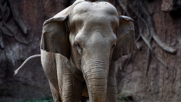 Снимка: Ройтерс