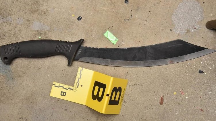 Снимка БГНЕС