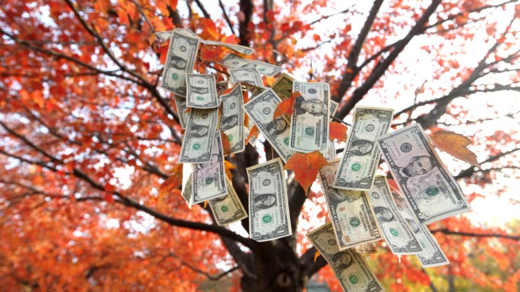 Снимка: iStock/TriggerPhoto