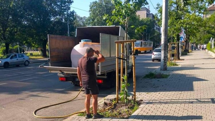 БАБХ спря внос на рекорден брой растения 