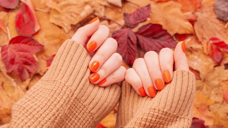 Снимка: iStock/Maya23K