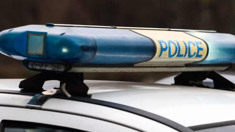 Снимка: архив, БГНЕС