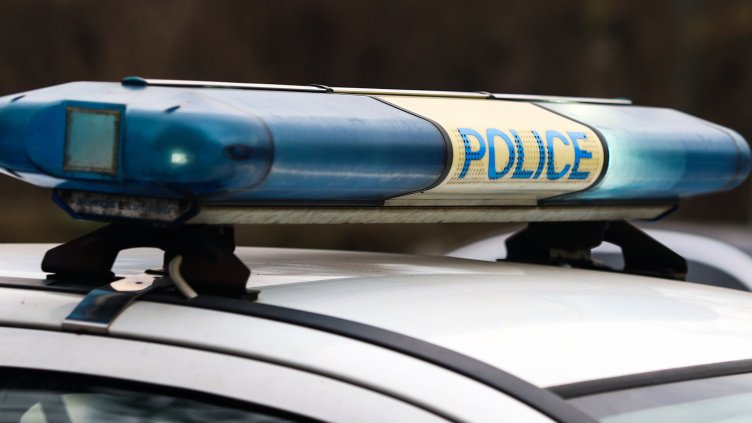 Снимка: архив, БГНЕС