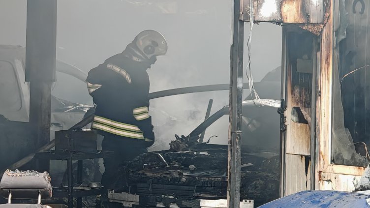 Снимка: БГНЕС