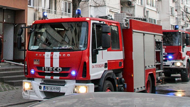 Снимка: архив, БГНЕС