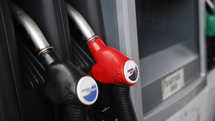 Снимка: архив, БГНЕС