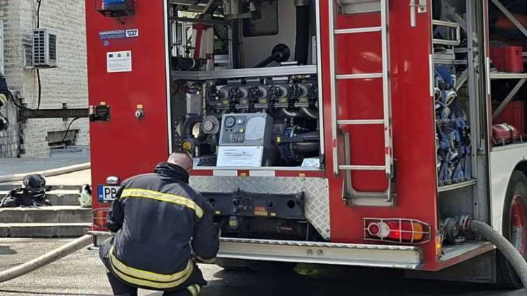 Снимка: архив, БГНЕС