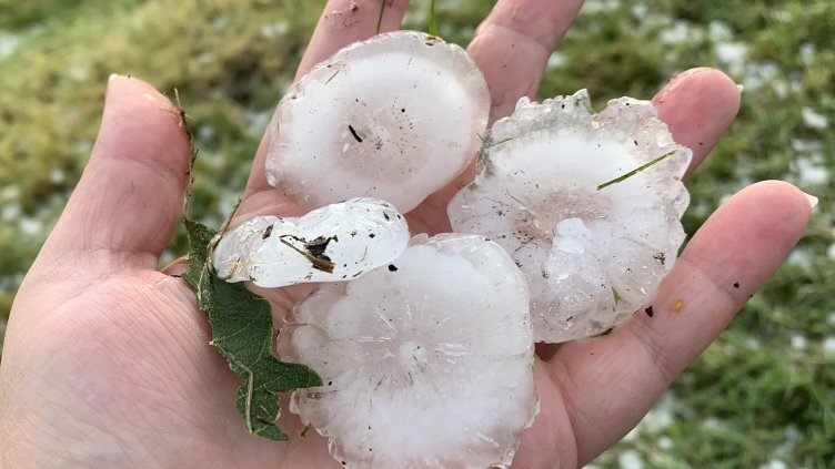 Снимка: БГНЕС, архив