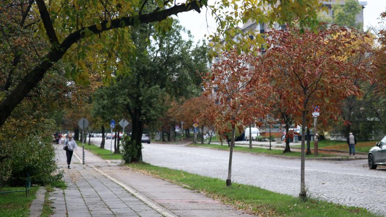 Снимка: БГНЕС