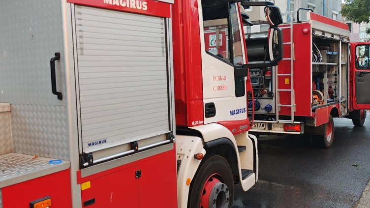 Снимка: архив, БГНЕС