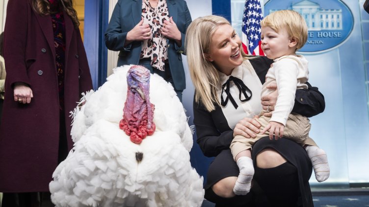 Снимка: архив, БГНЕС