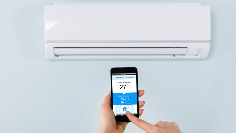 Снимка: IstockPhoto