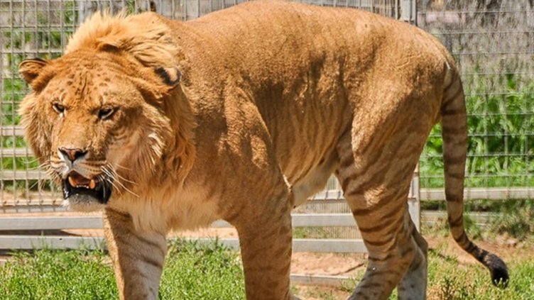 Снимка Фейсбук