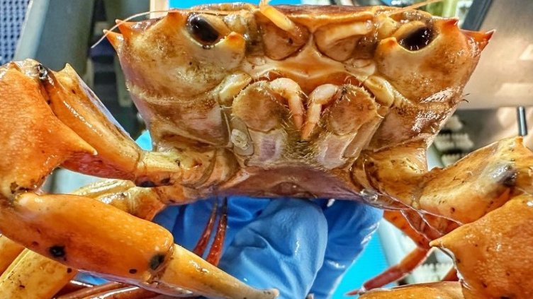 Снимка Фейсбук