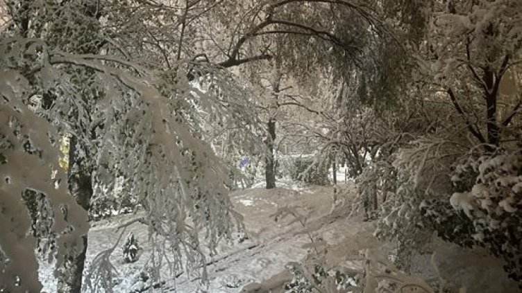 Снимка БГНЕС