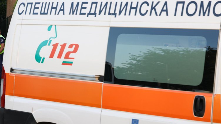 Снимка: архив, БГНЕС