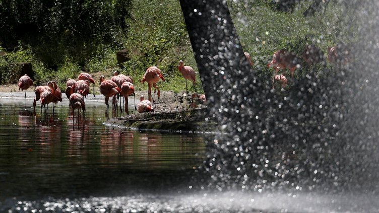 Reuters