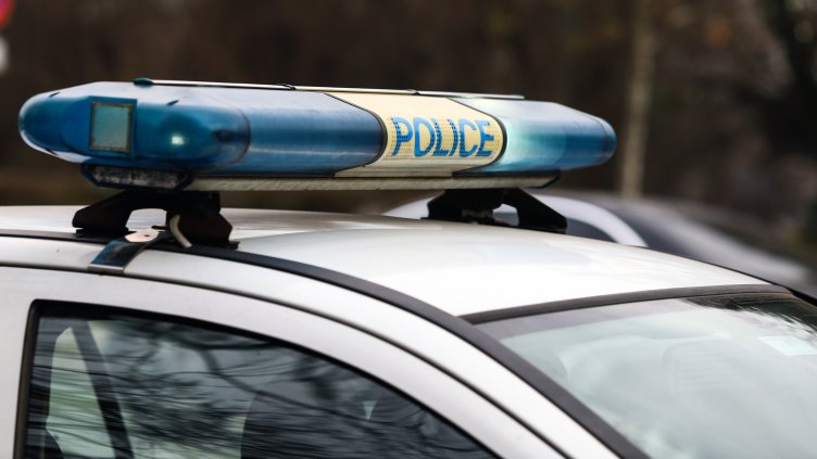 Снимка: архив, БГНЕС