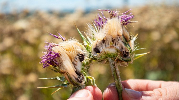 Снимки: личен архив