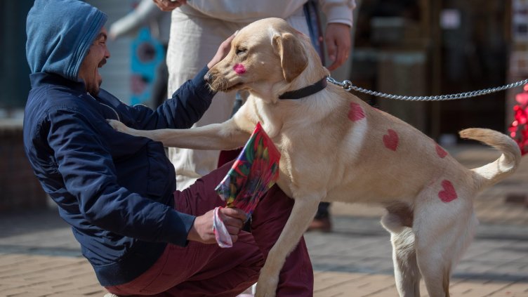 В кадър: Любовта е навсякъде около нас