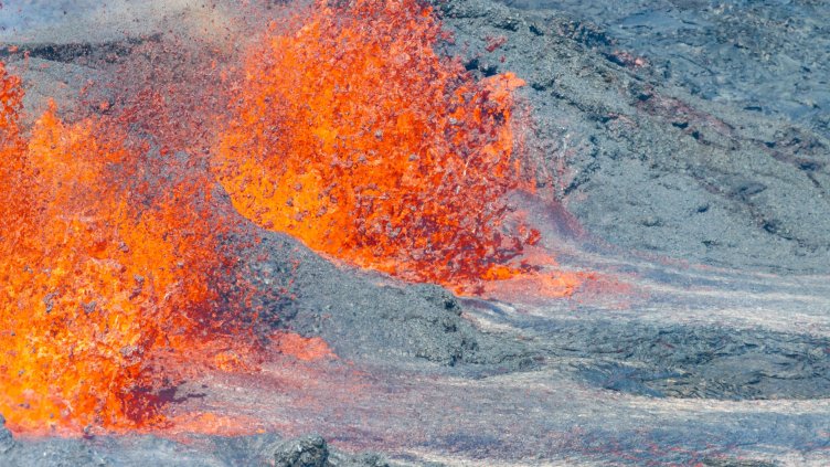 Снимка: архив, БГНЕС