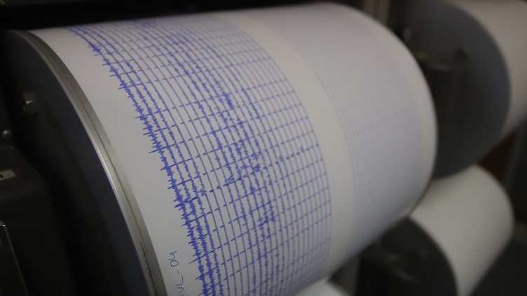 Снимка: архив, БГНЕС