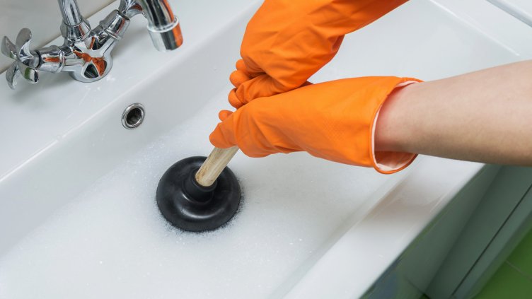 Снимка: IstockPhoto