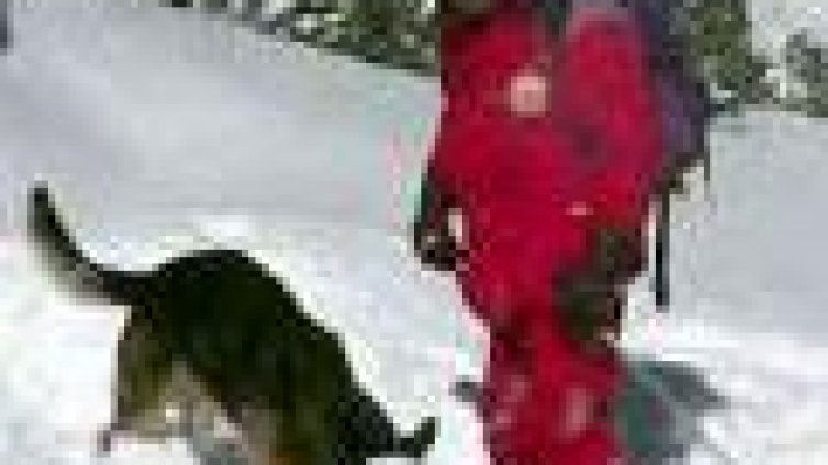 Издирването на Димитър Златарев е прекратено, подновява се в сряда