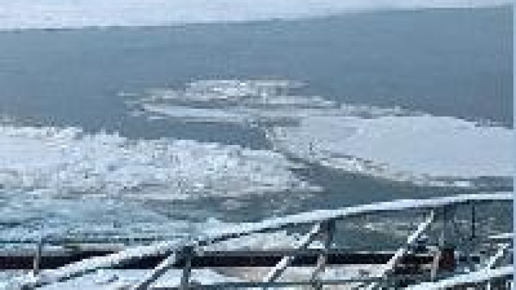 Ледоходът по река Дунав достигна 70%