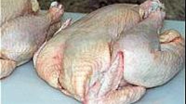 В австралийски град заваляха... пилета