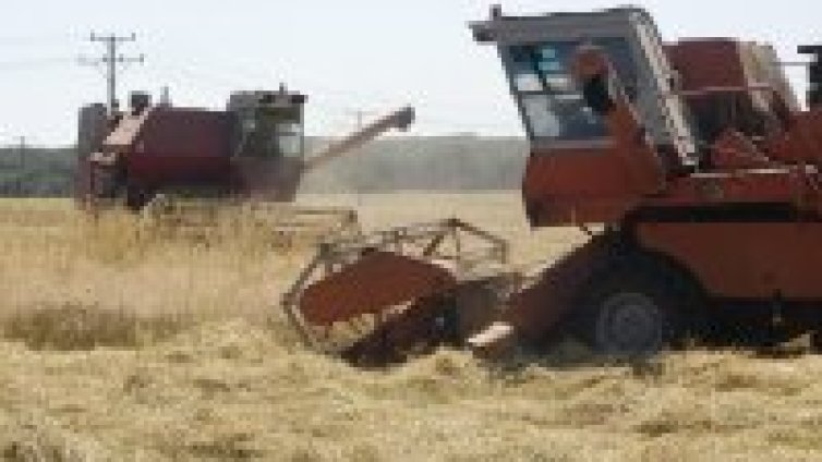 Страната е пред втора голяма зърнена криза