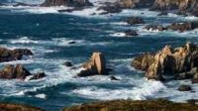 Шведски граф ще строи вилно селище край Камен бряг