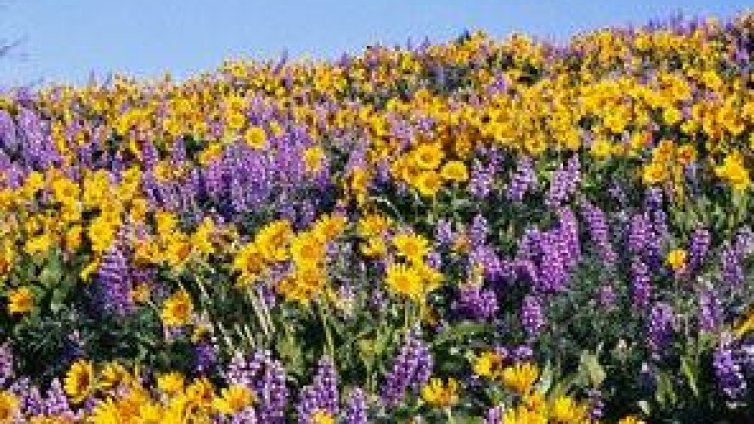 Слънчево и топло ще е времето през август