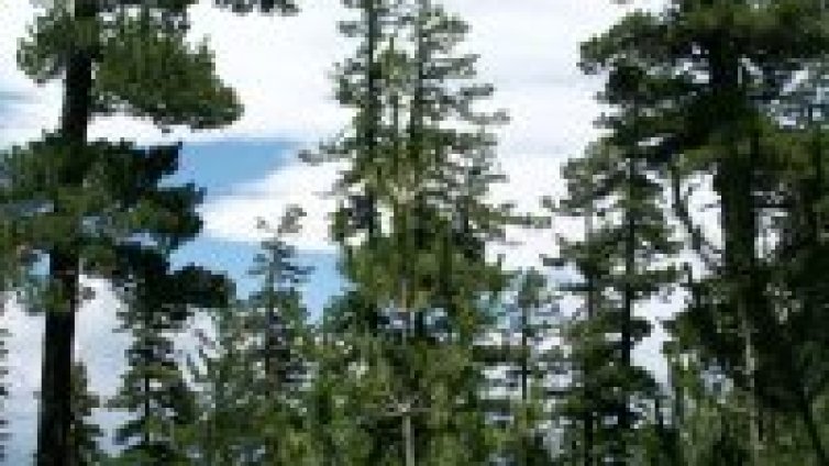 Събраха над 8 тона отпадъци от Рила