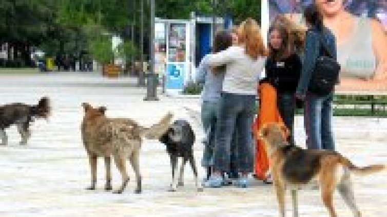 Борисов уволни шефа на &bdquo;Екоравновесие&ldquo;, търси се нов