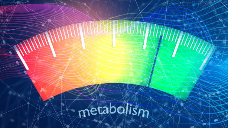 5 начина да забързате метаболизма без глад